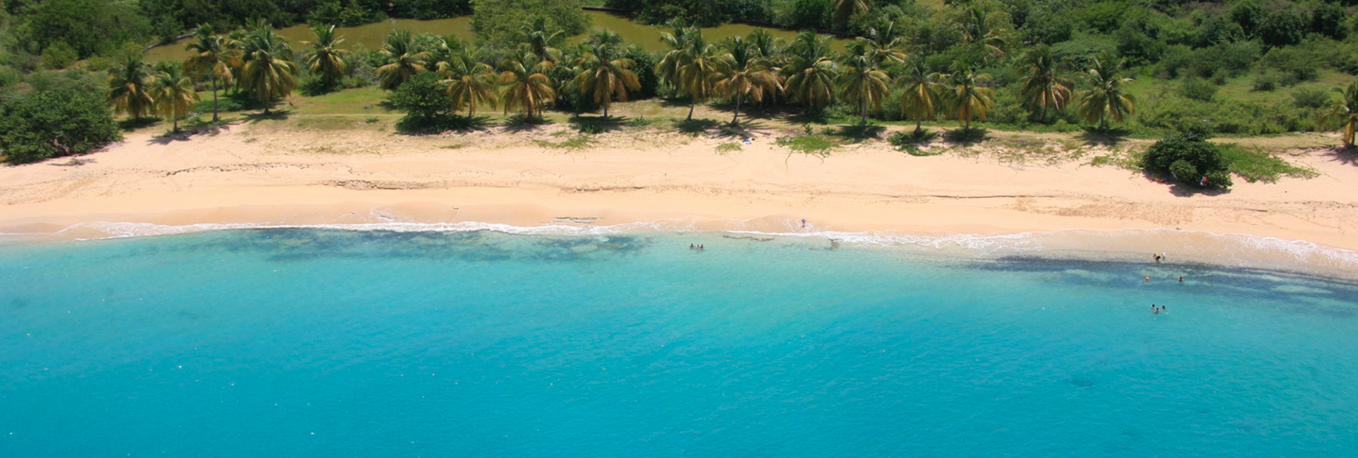 Aerial view of a beach with turquoise water, tan sand, and lush green trees.