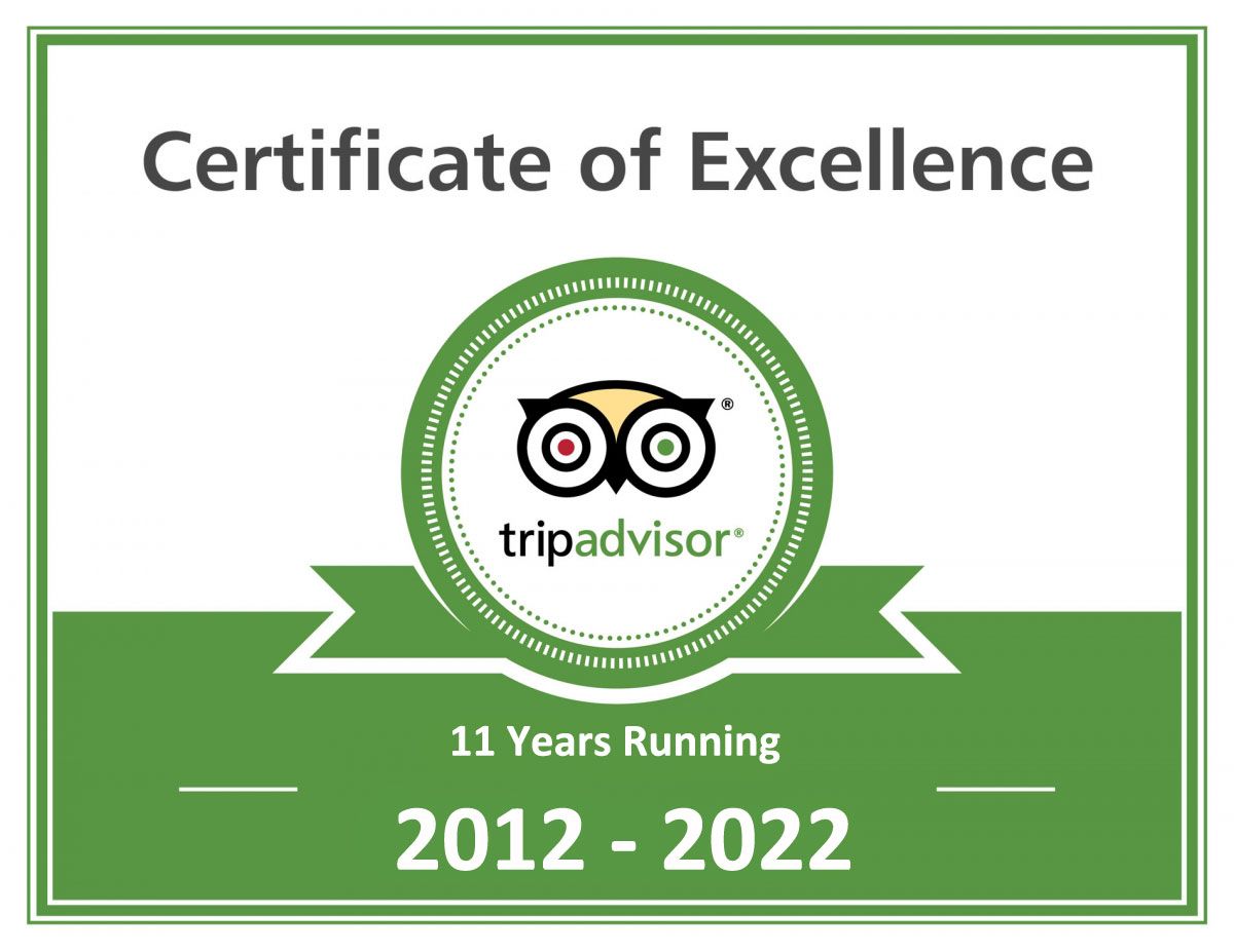 TripAdvisor Certificate of Excellence: Green graphic with logo, text
