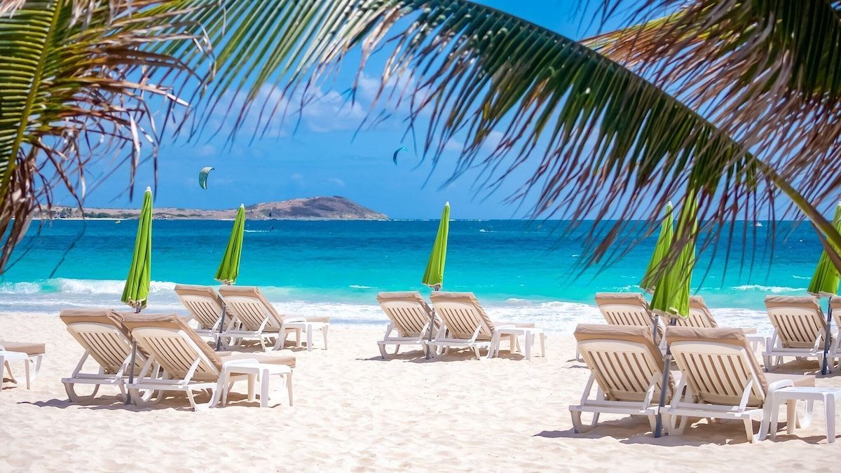 Beach scene with lounge chairs, ocean, palm trees, and umbrellas under blue sky.