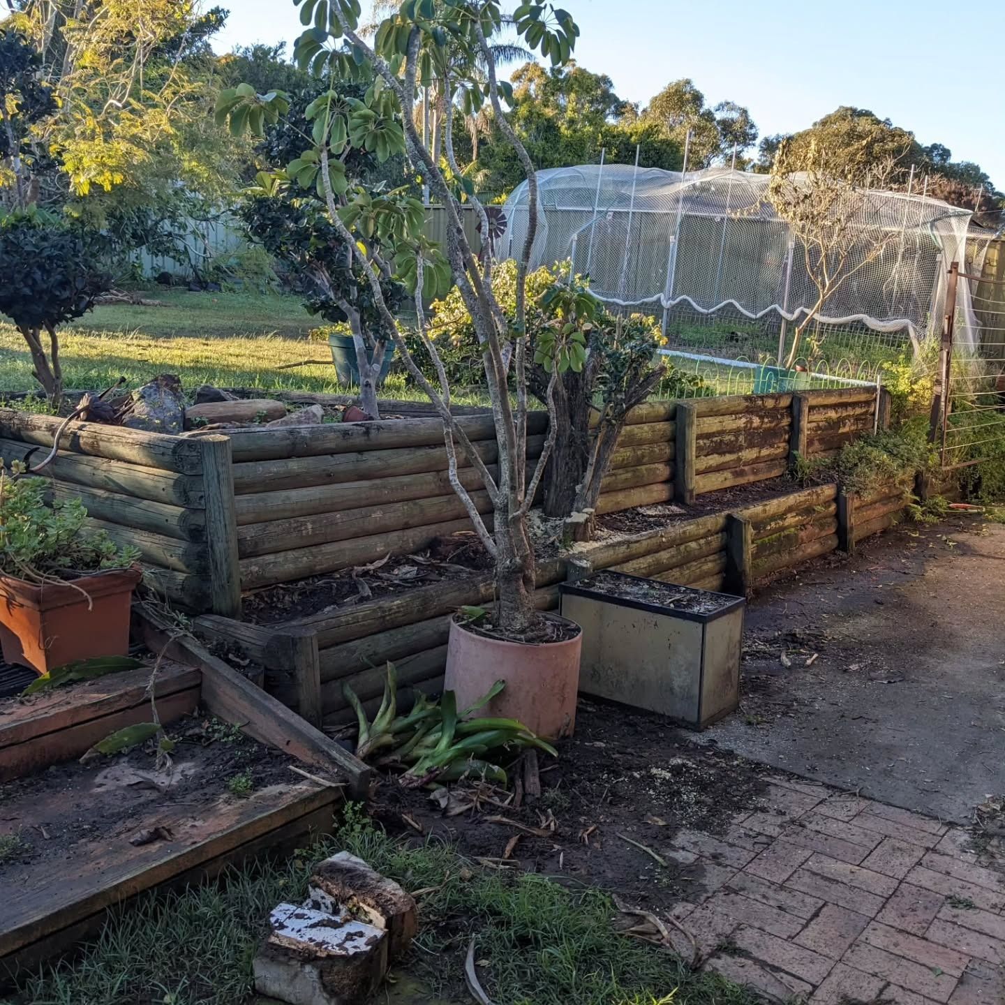 A Garden With Raised Beds Made of Logs — Concrete Sleepers NSW - Port Macquarie in Sancrox, NSW