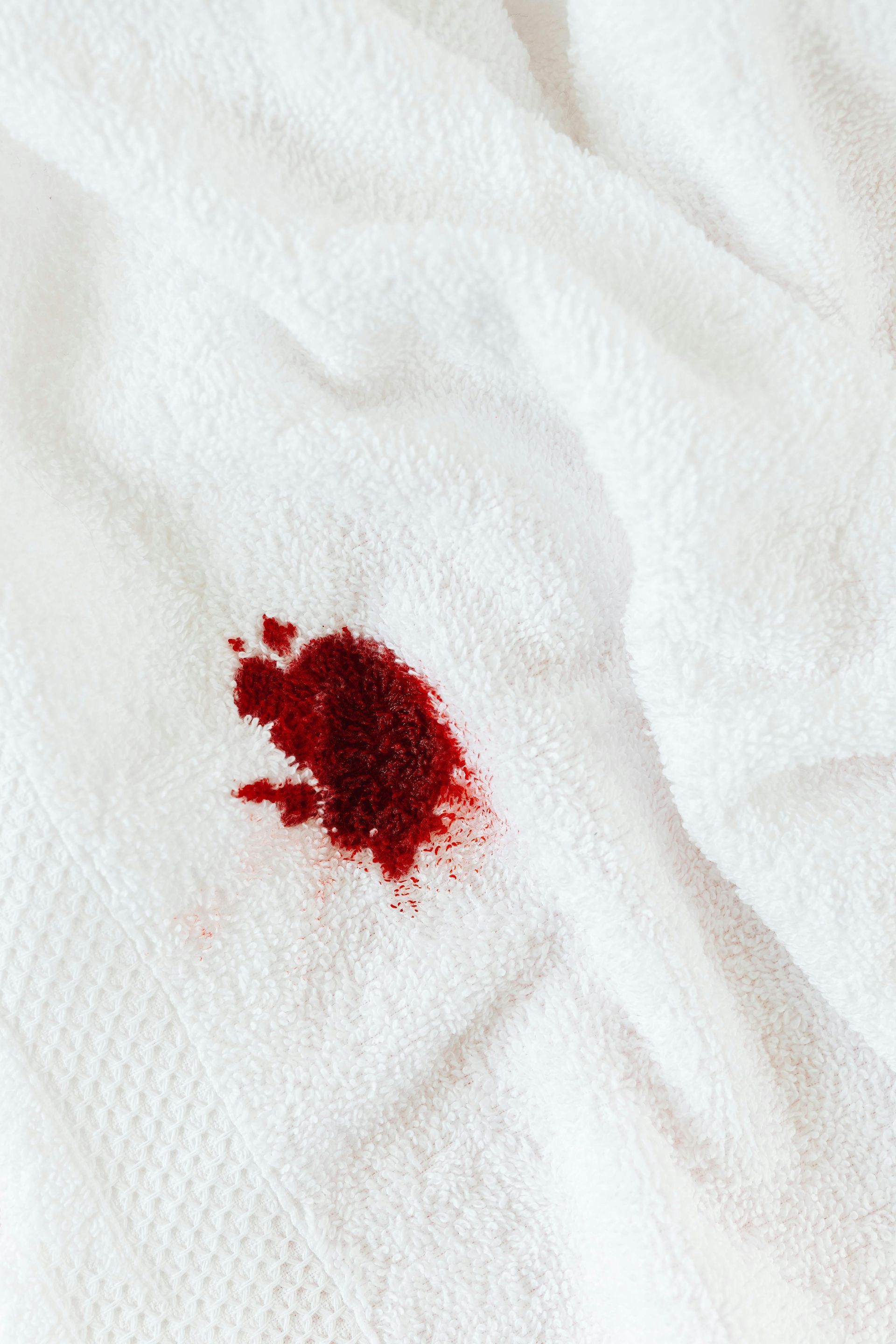 blood spot on a white paper towel

