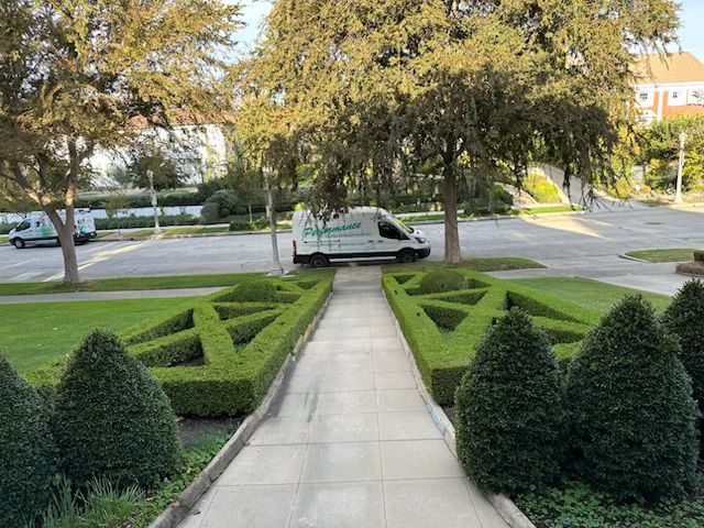 Geometric hedge garden leading to a street with a white van under trees