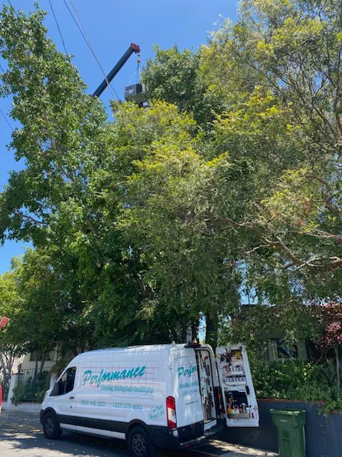 White work van parked under leafy trees beside a building, with a crane arm visible above.