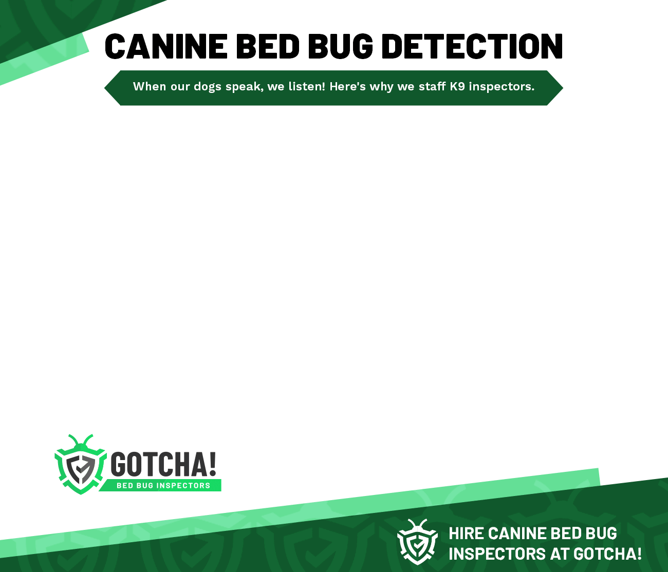 Bed Bug Inspection Long Island Request A Free Estimate