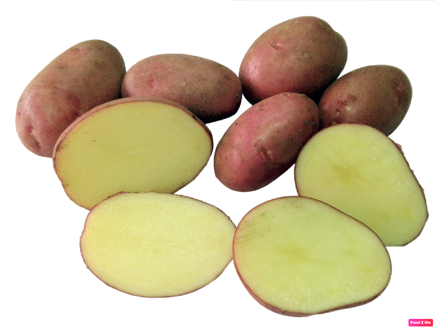 Papas del sur