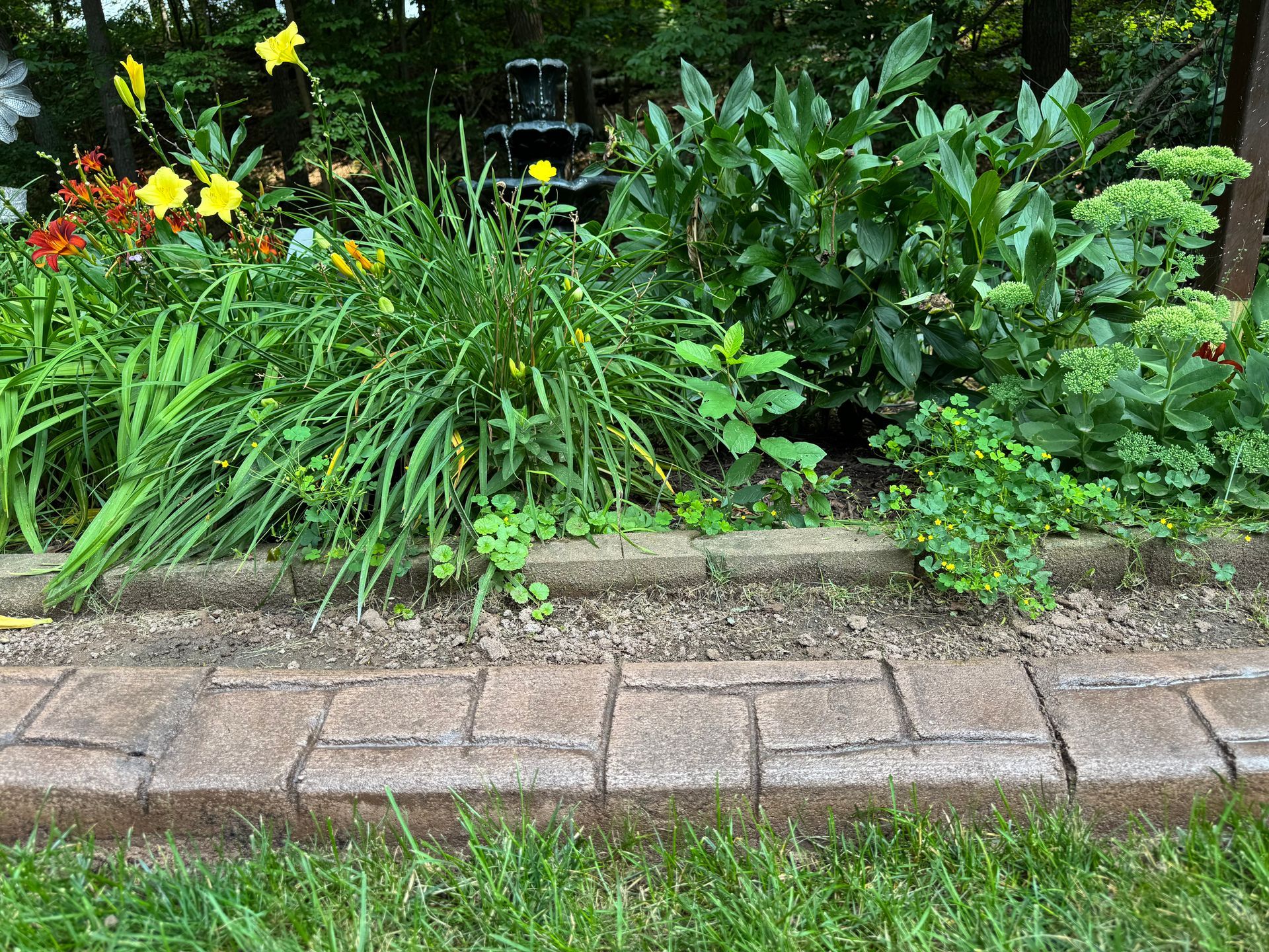 Garden bed with yellow flowers and lush green plants behind a brick-paved path