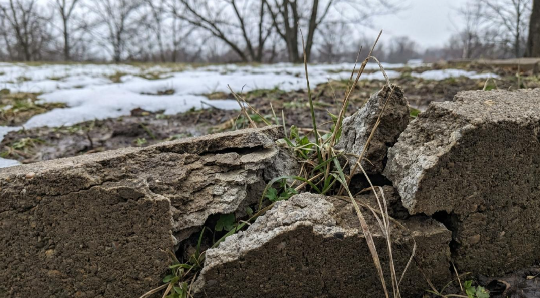 Cracked concrete slab with grass sprouting through, snowy field and bare trees in the background
