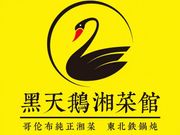 Yellow logo with a black swan and Chinese text reading 黑天鹅饺子馆 and 东北风味更经典