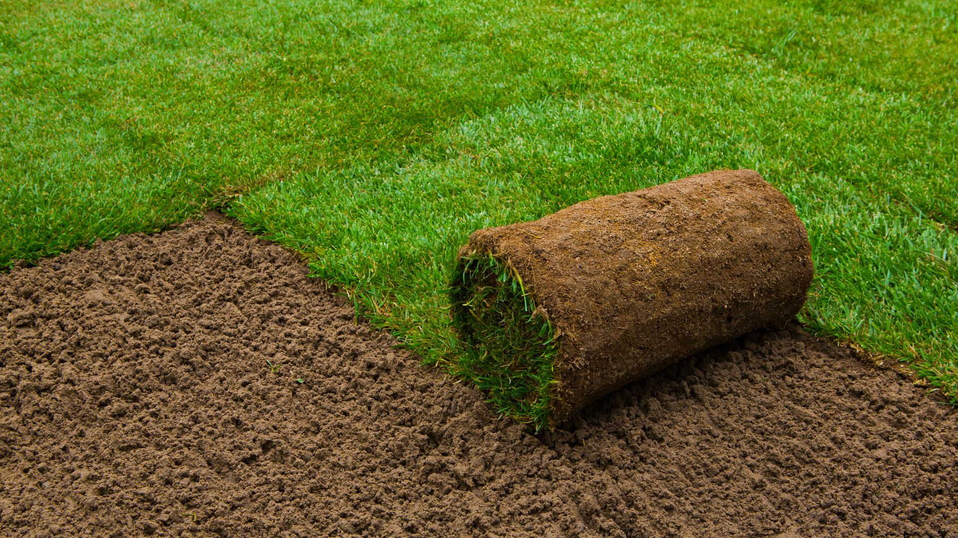 Bolanos Landscaping Services - Landscape Services