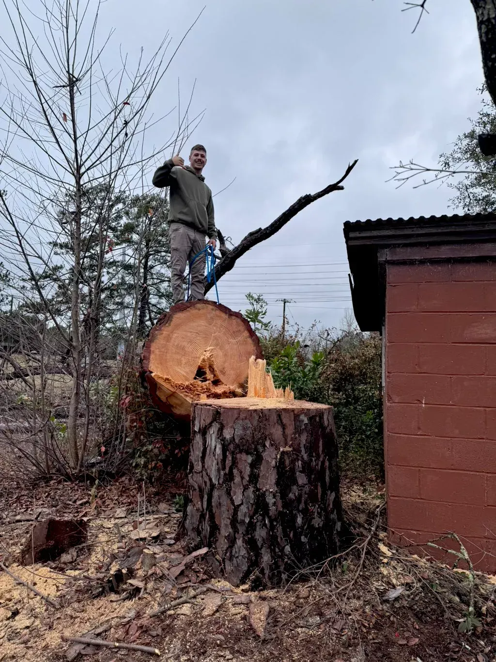 A man is standing on top of a tree stump with a chainsaw.