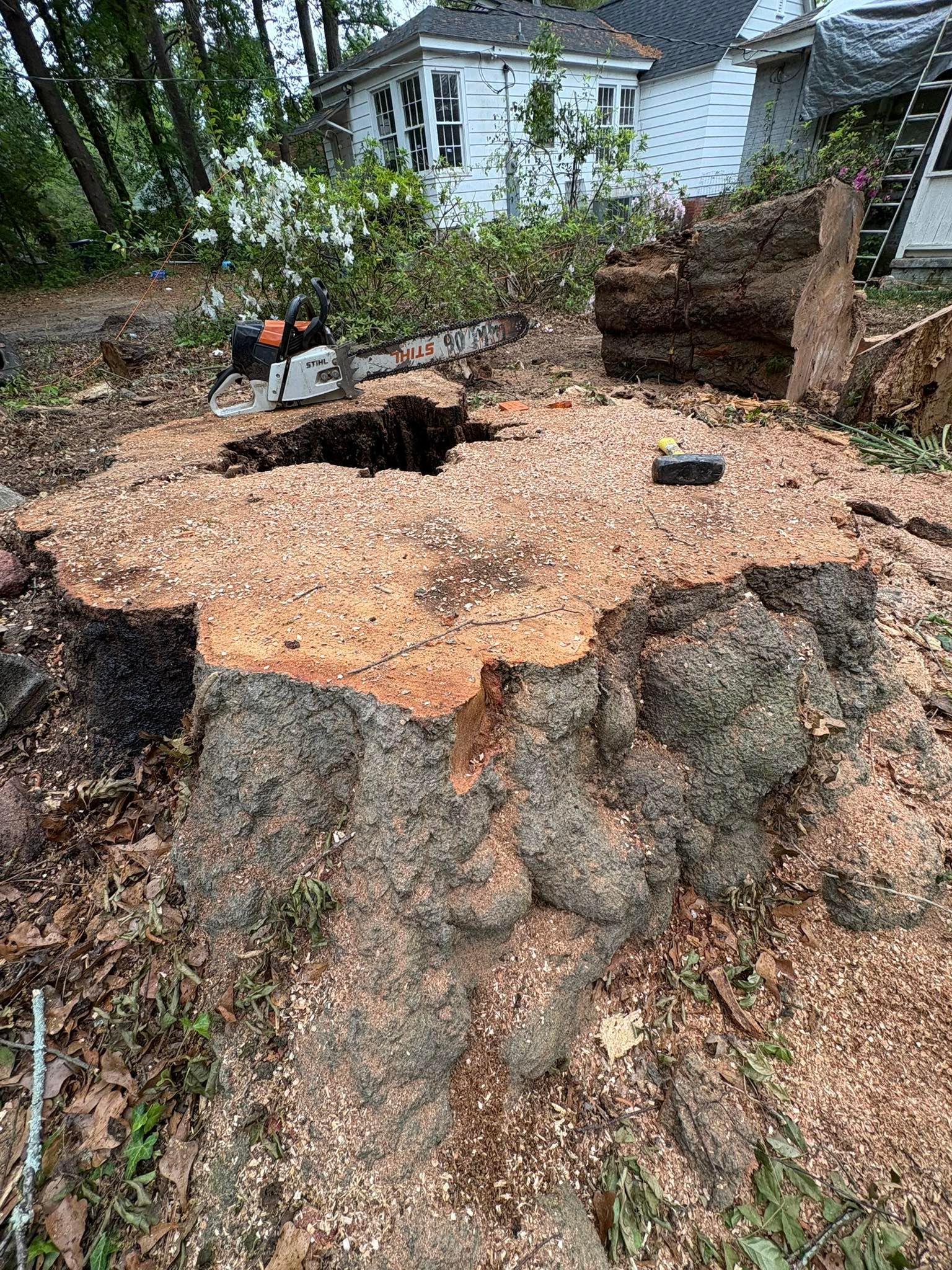 A large tree stump is sitting in the dirt in front of a house.