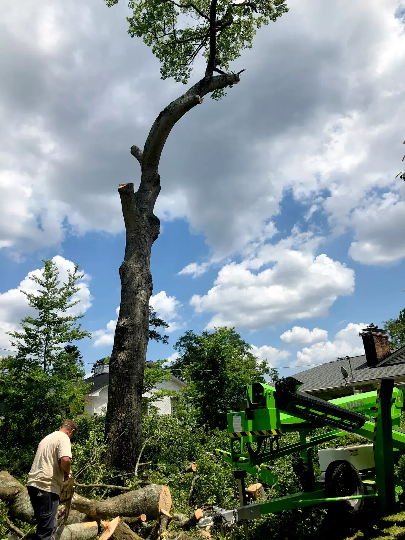 A man is standing next to a tree that has been cut down.