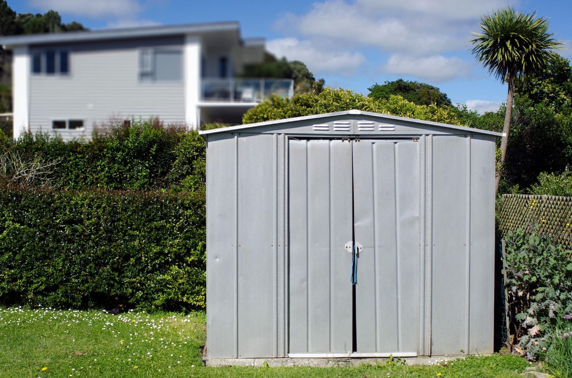Gray metal garden shed in a grassy yard with a hedge and house in the background
