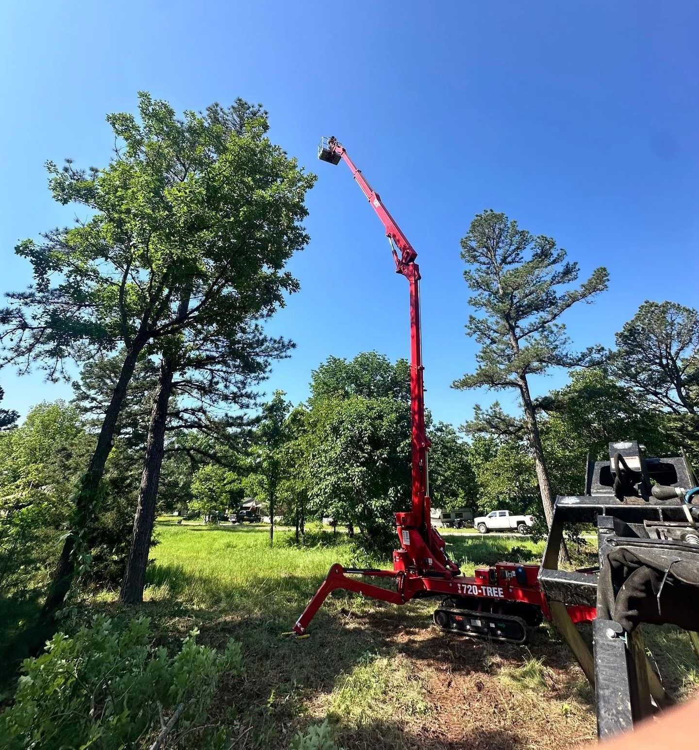 Red forestry crane reaching into tall trees on a sunny grassy site