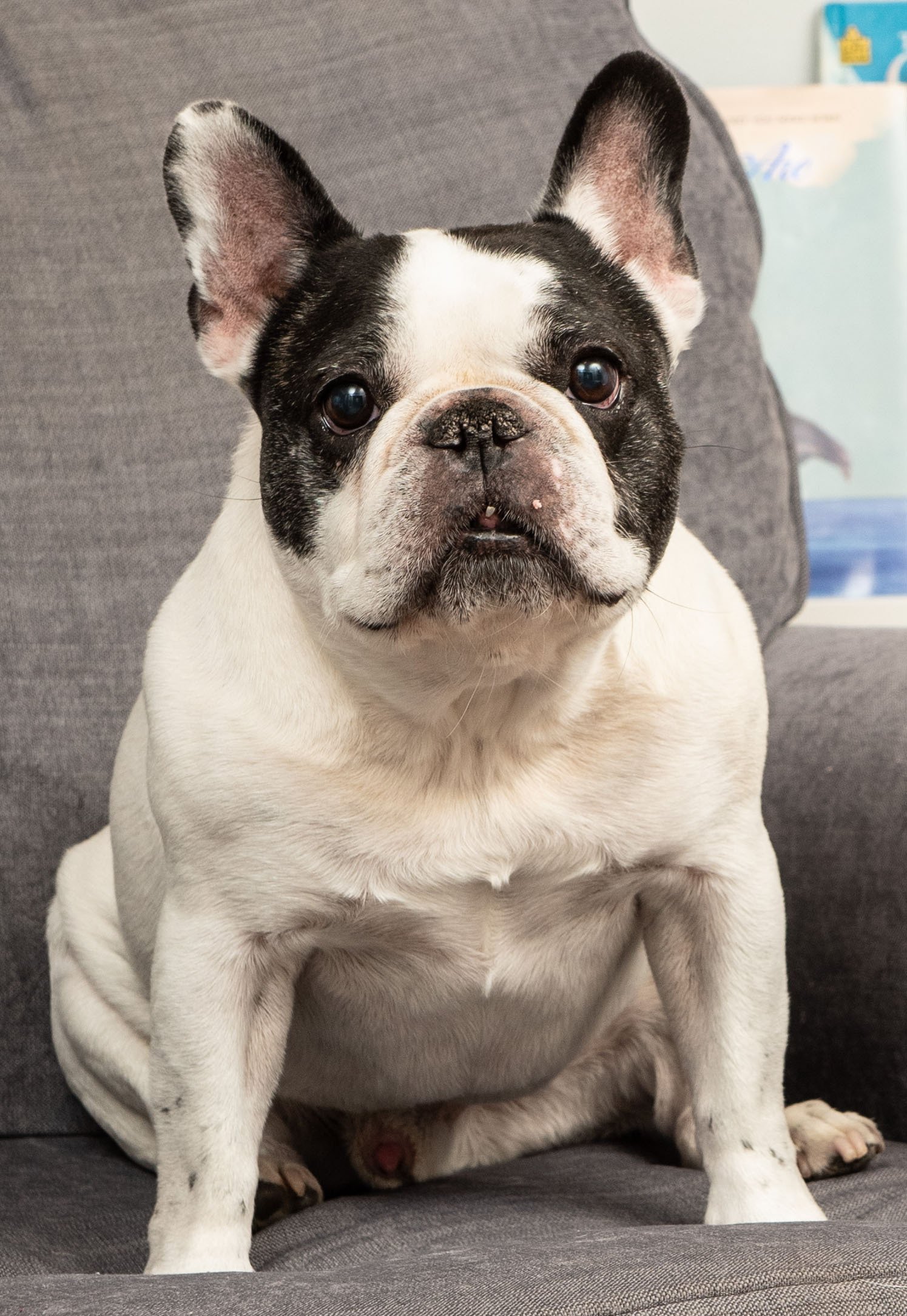 Realtor in Clarkston, MI Spencer Real Estate