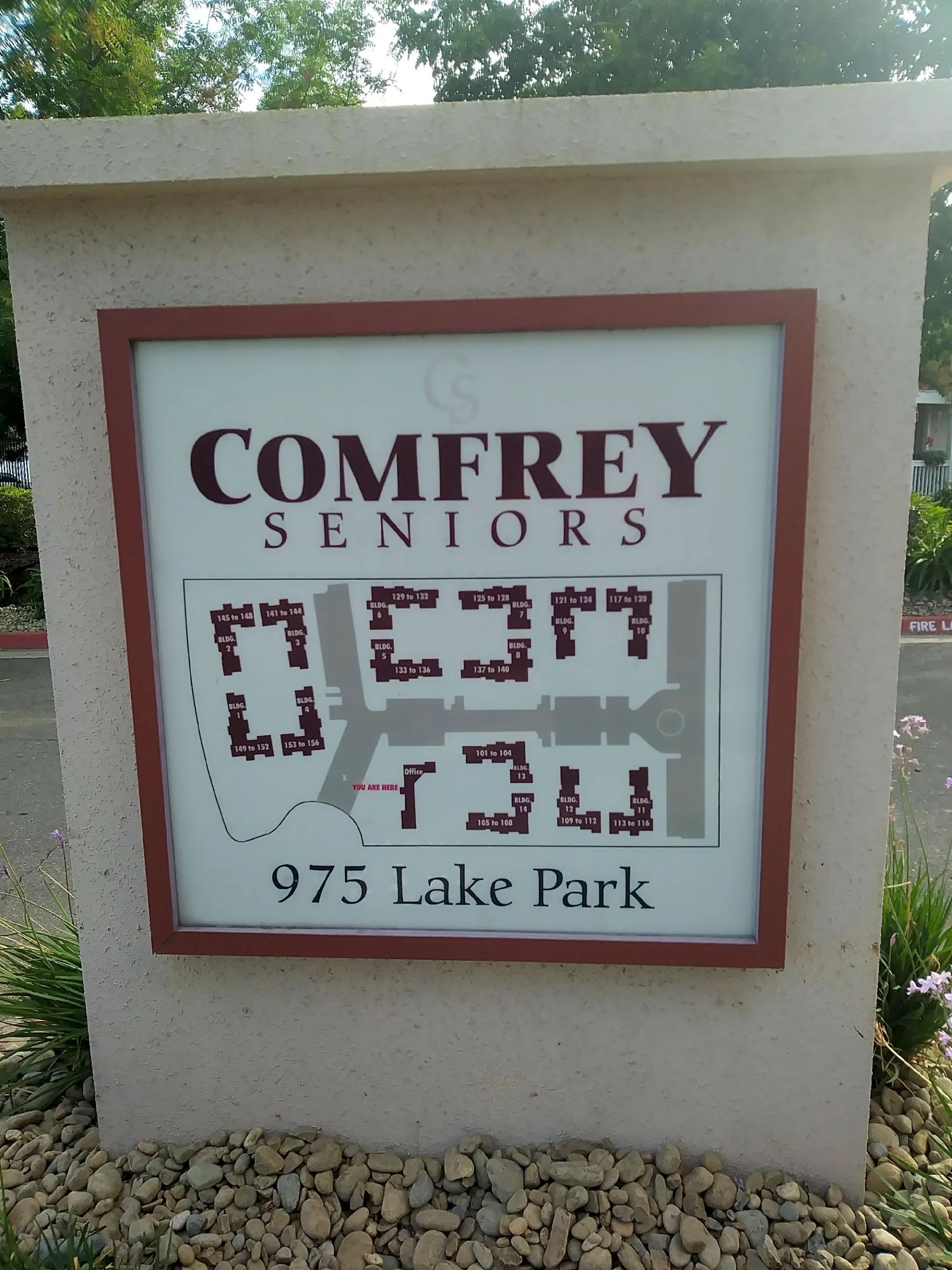 Comfrey Senior - Image 3