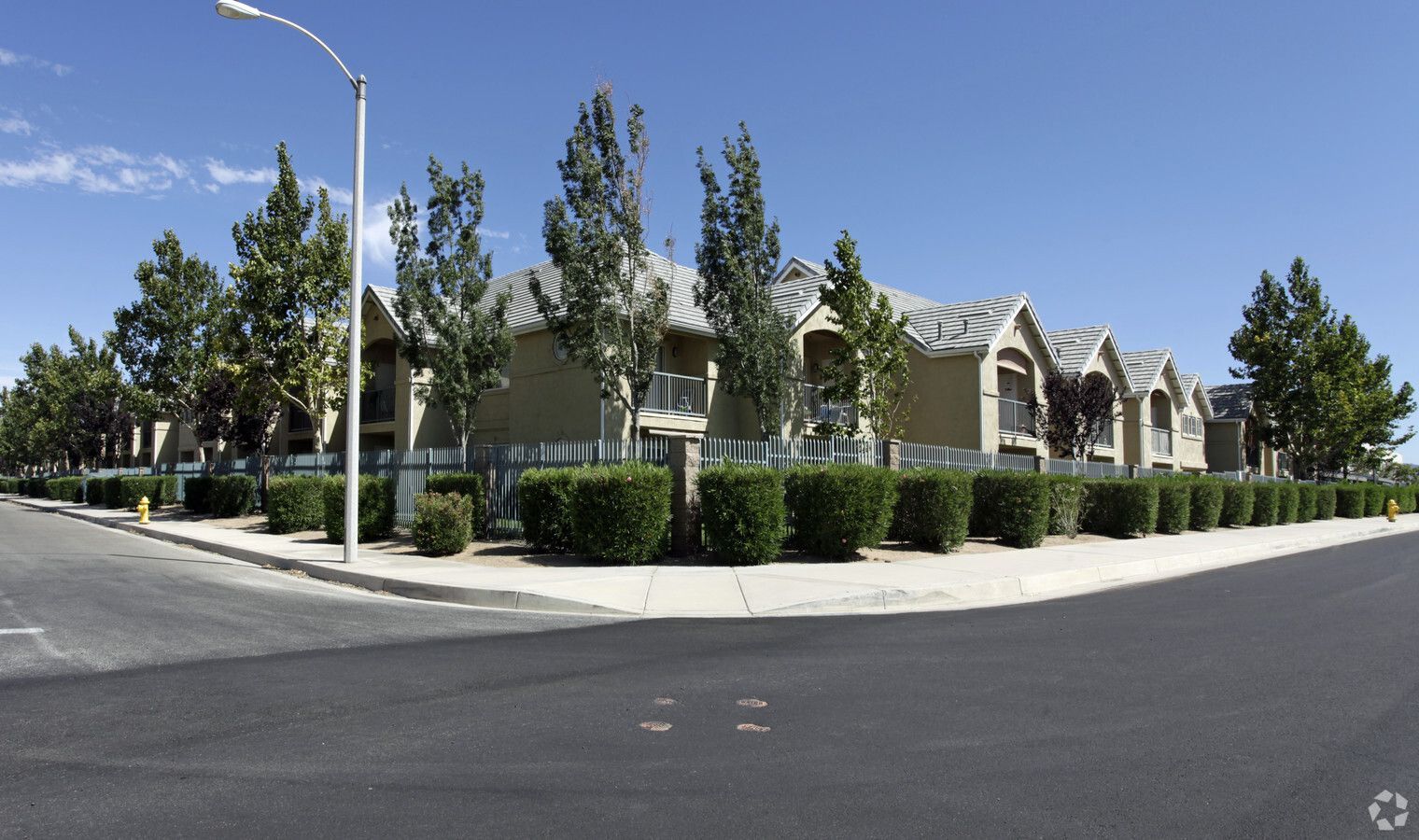 Three Palms - Image 1