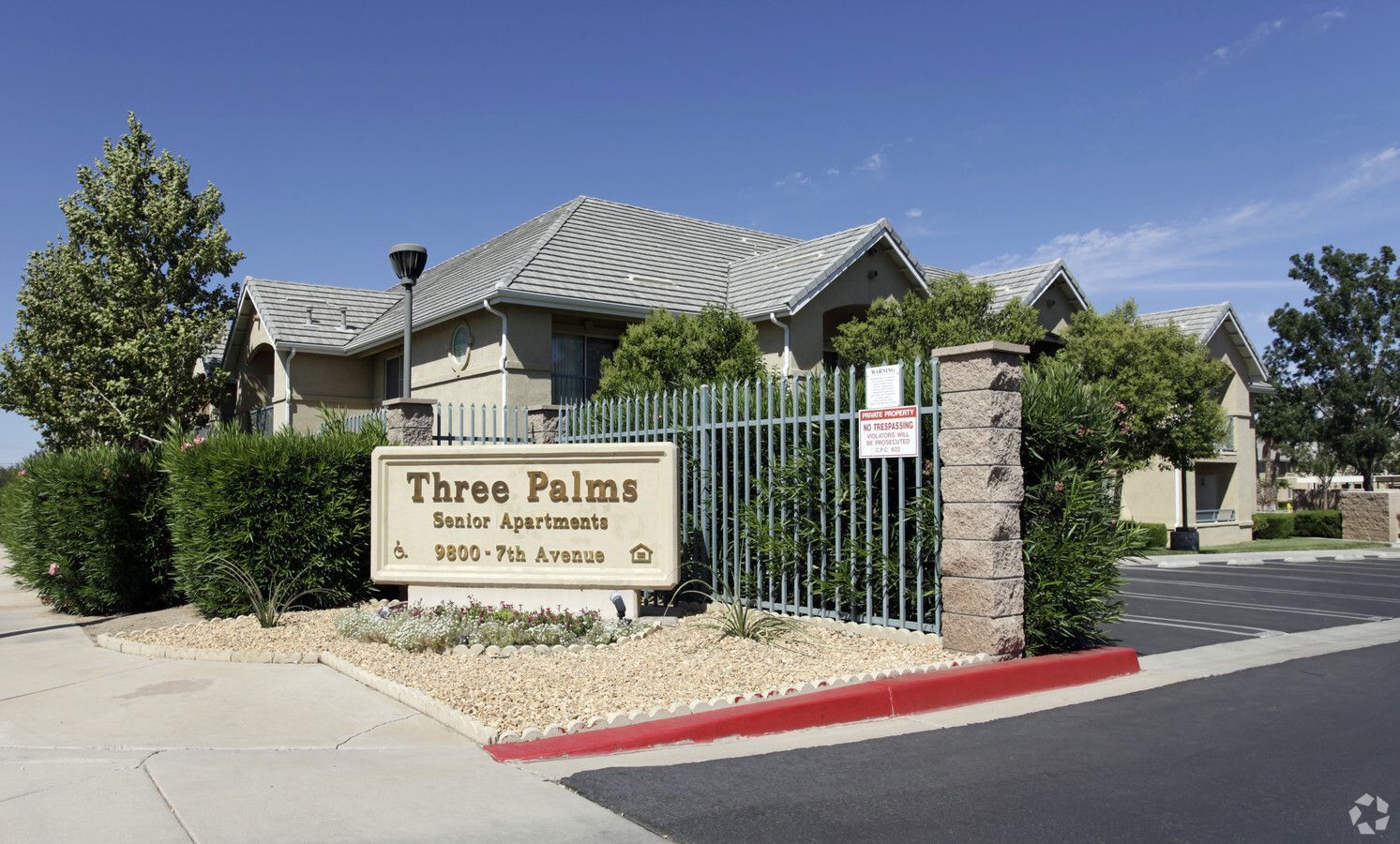 Three Palms - Image 2