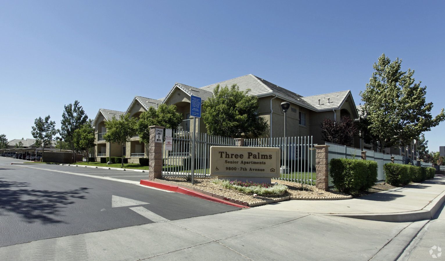 Three Palms - Image 3