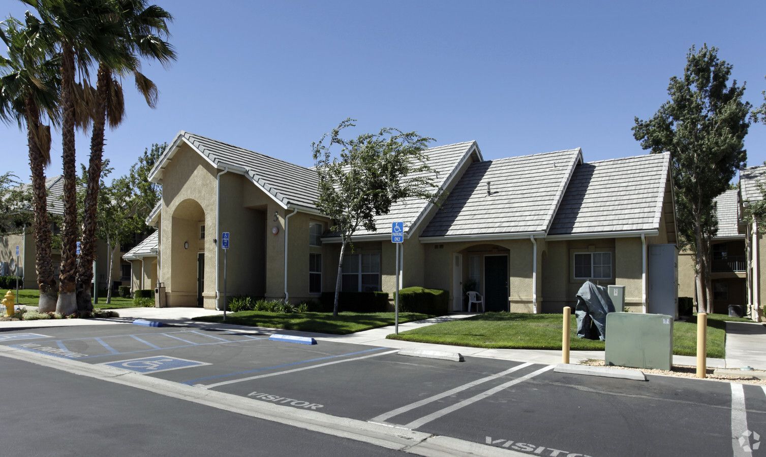 Three Palms - Image 4