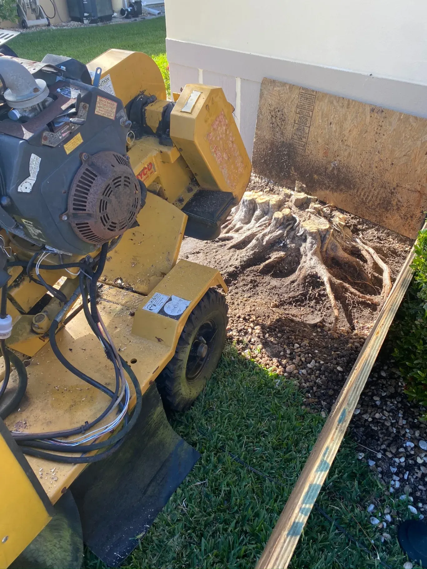 Yellow skid steer loading wood chips into a bin in a yard.