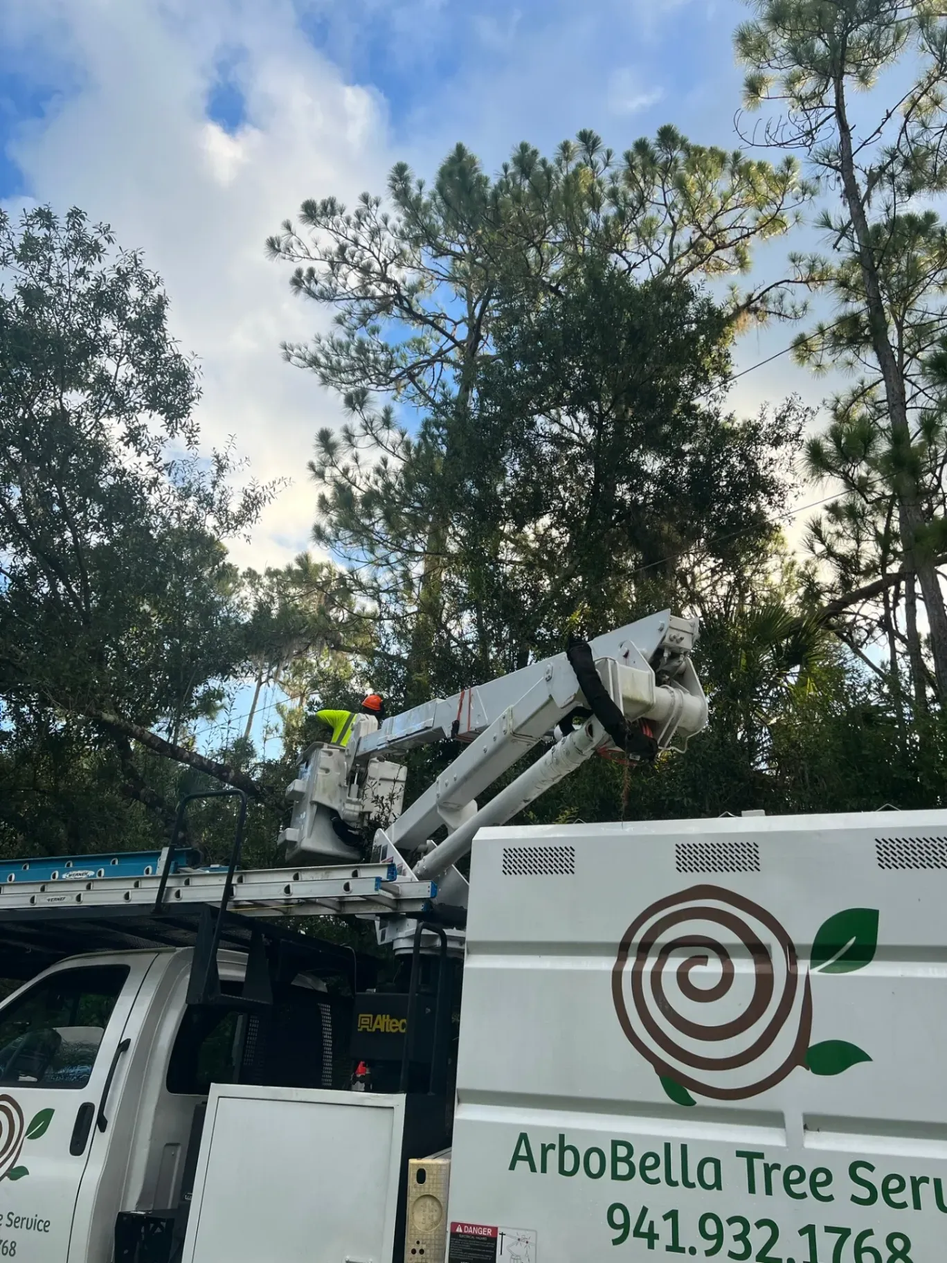 Tree service truck with boom lifting a worker amid tall trees and blue sky