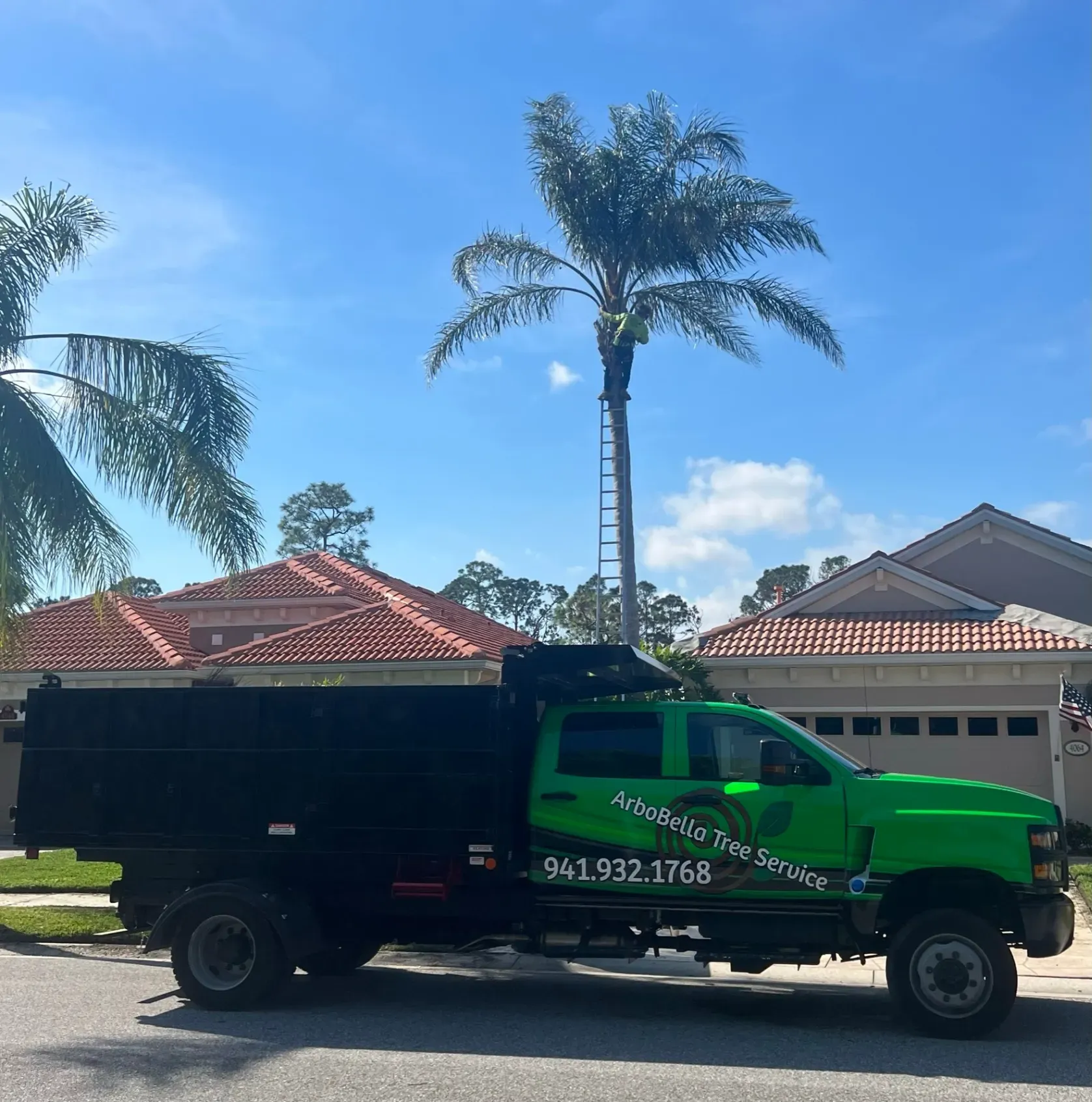 Green truck parked on a suburban street with palm trees and houses under a blue sky