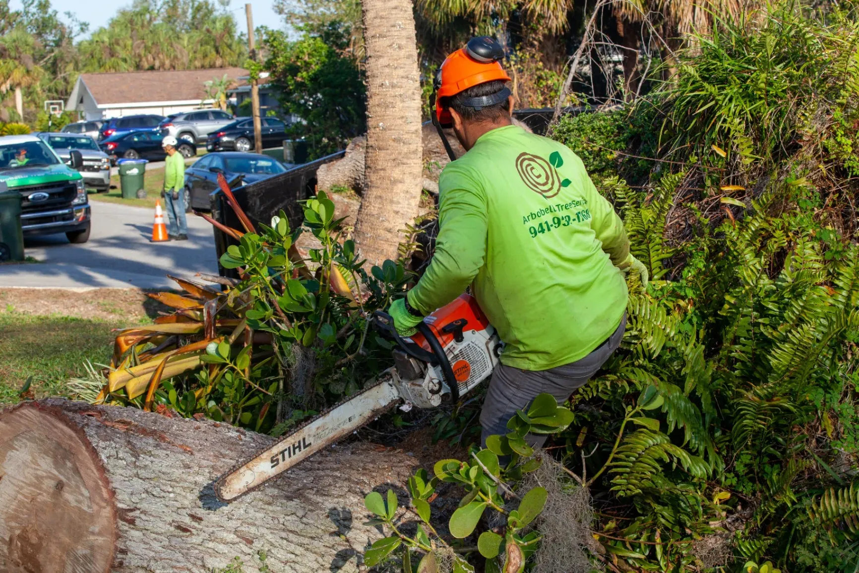 Worker in a neon green shirt and orange hard hat using a chainsaw to clear a fallen tree by a roadside.