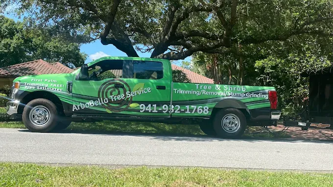 Green pickup truck with palm-tree graphics and phone number parked on a sunny street.