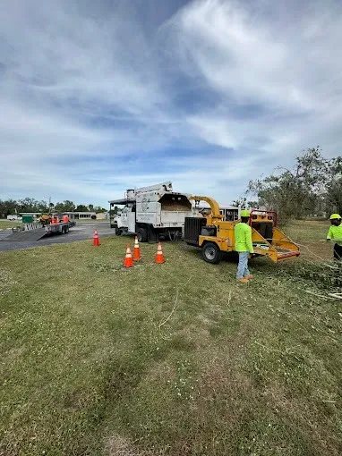 Roadside utility work with workers, orange cones, a truck, and a yellow machine on grassy shoulder under cloudy sky