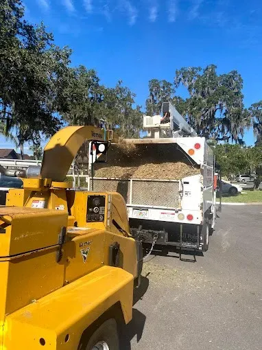 Yellow wood chipper feeding a white dump truck on a sunny street under blue sky