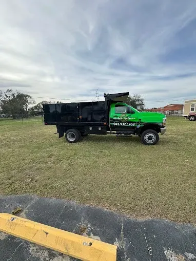 Green dump truck parked on a grassy field under a cloudy sky
