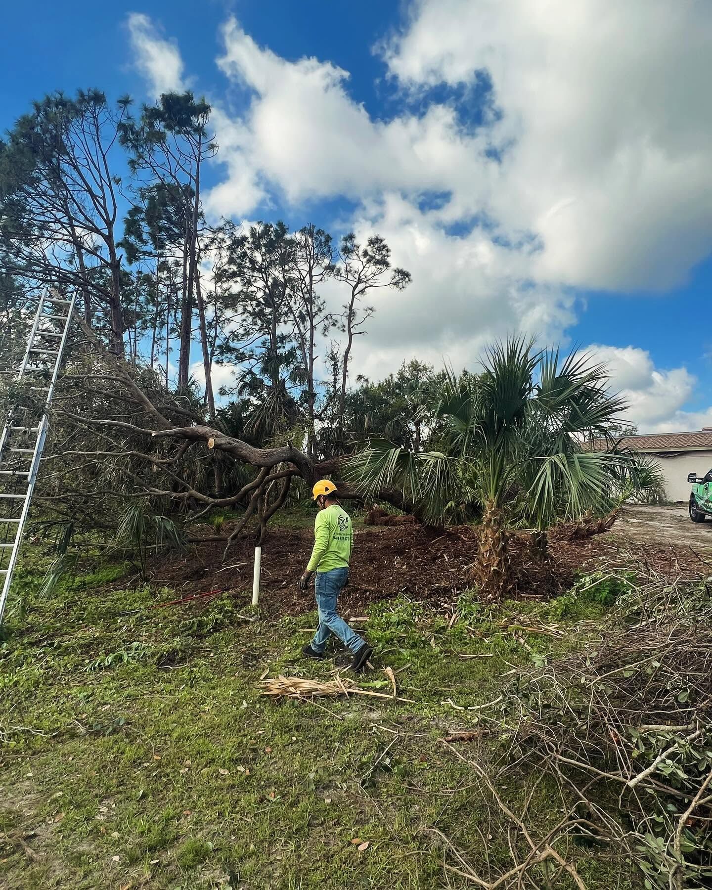Worker in a hard hat clearing fallen trees and brush in a yard with a ladder and blue sky.