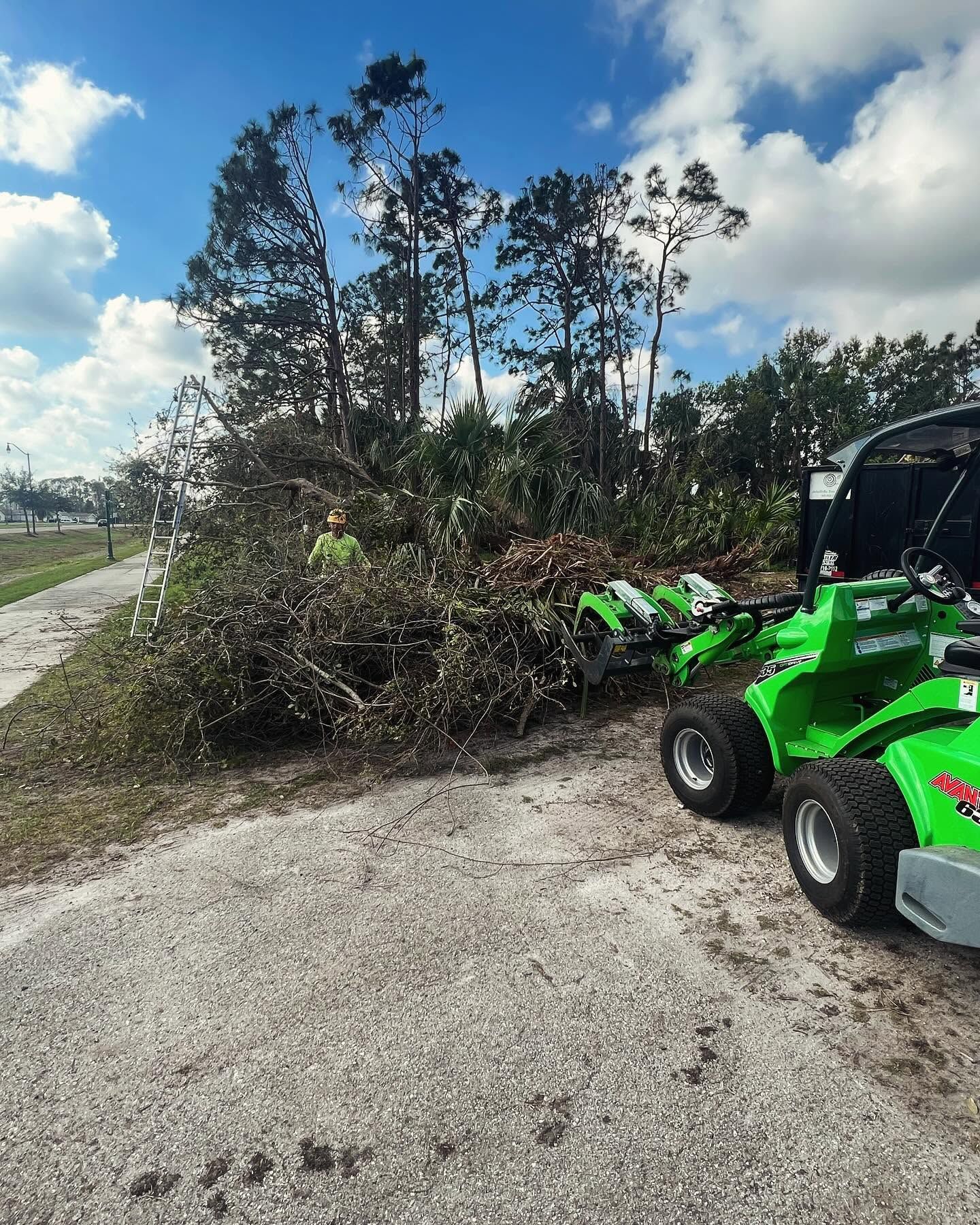 Green utility vehicle beside a large pile of cut branches on a rural roadside under a cloudy sky