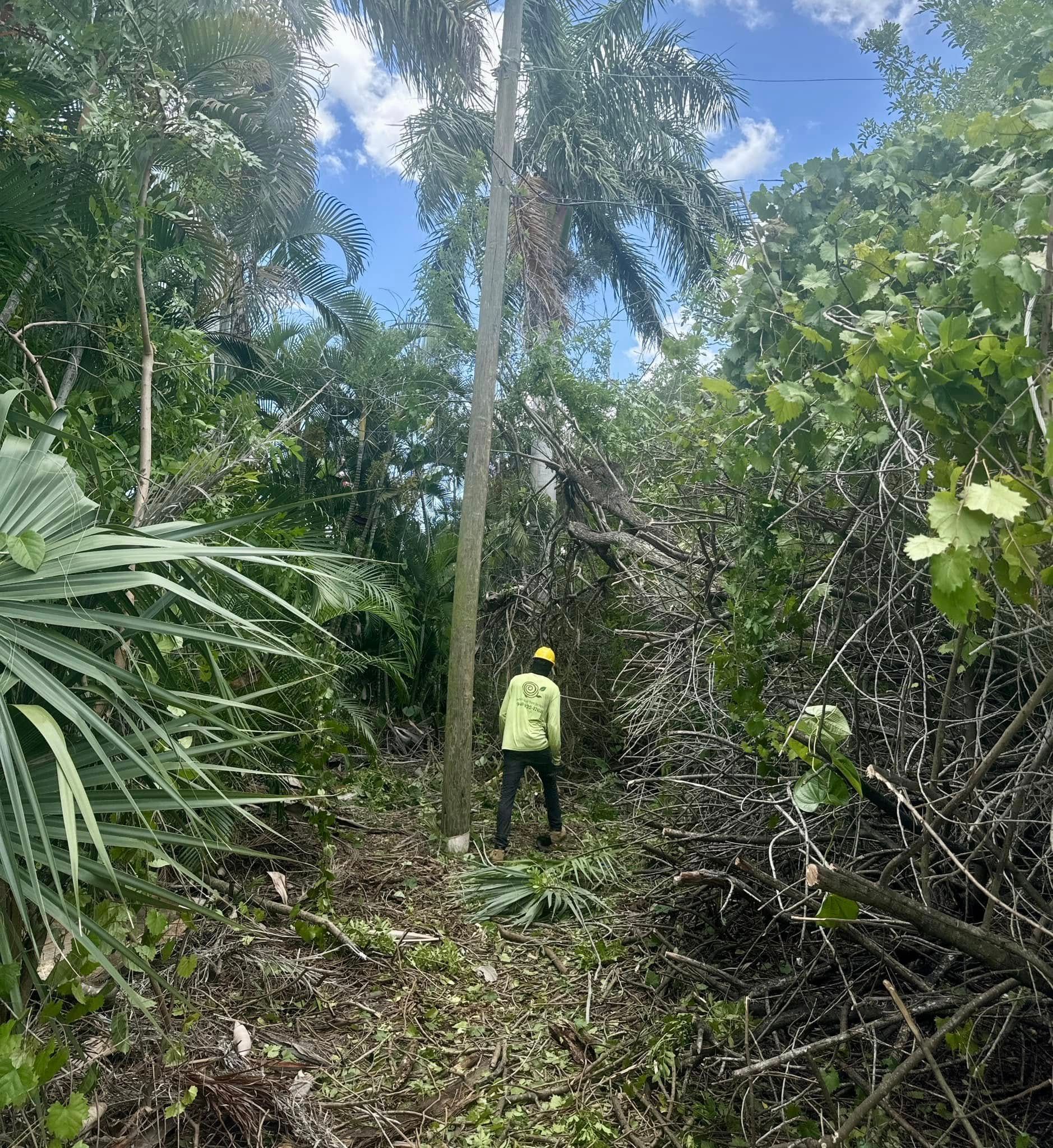Person in a neon jacket and helmet walks along a narrow forest trail under dense green canopy.