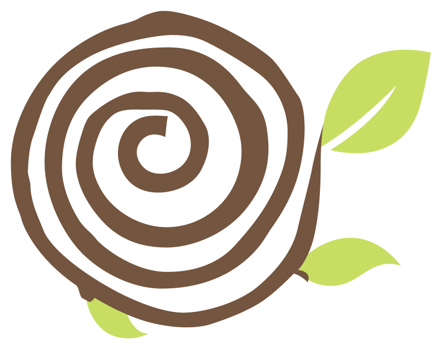 Brown spiral snail shell with light green leaves on a white background