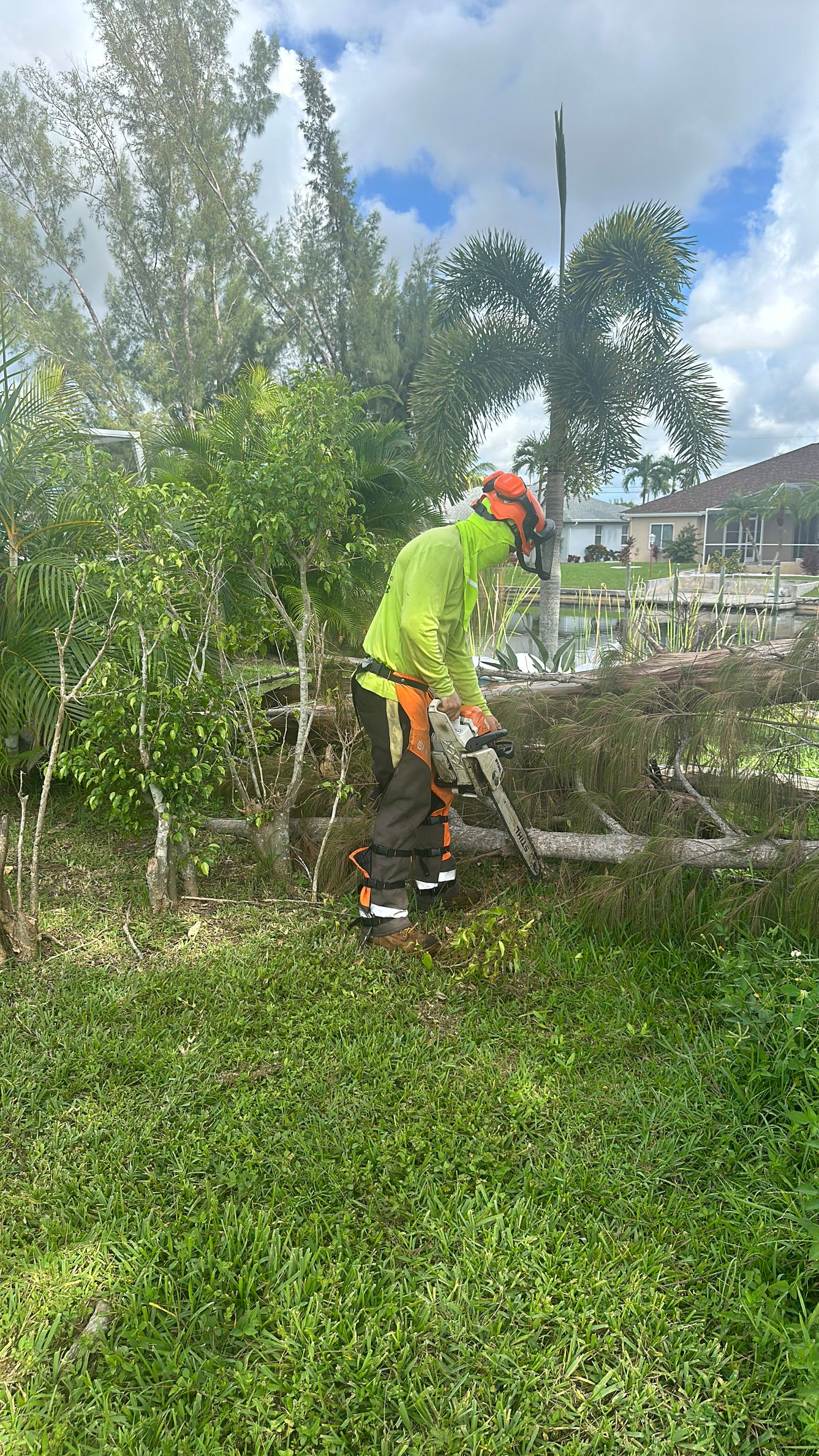 Worker in neon green jacket trimming bushes in a garden with trees and a lawn
