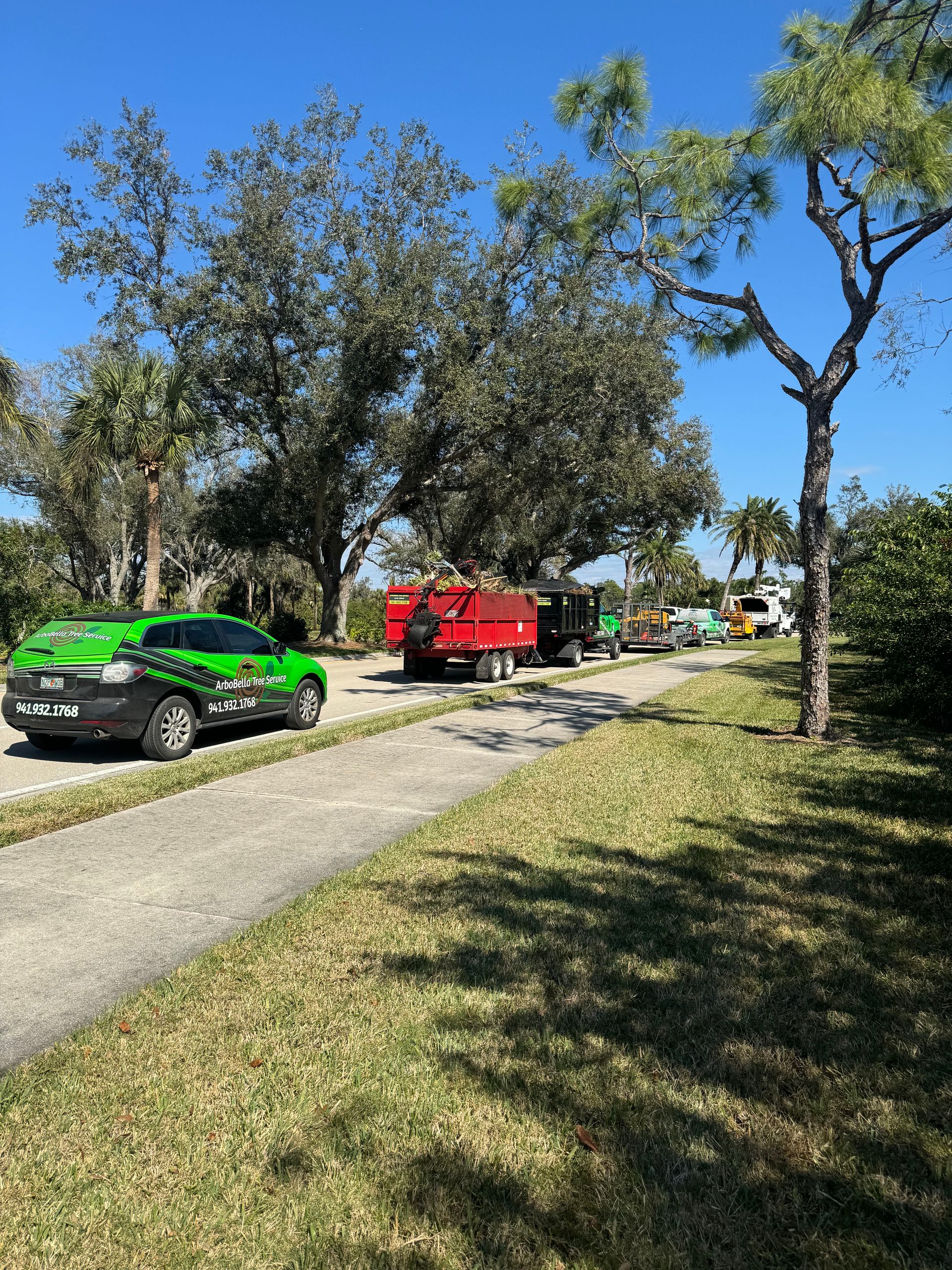 Green, red, and yellow vehicles parked along a sunny park path with trees and grass.