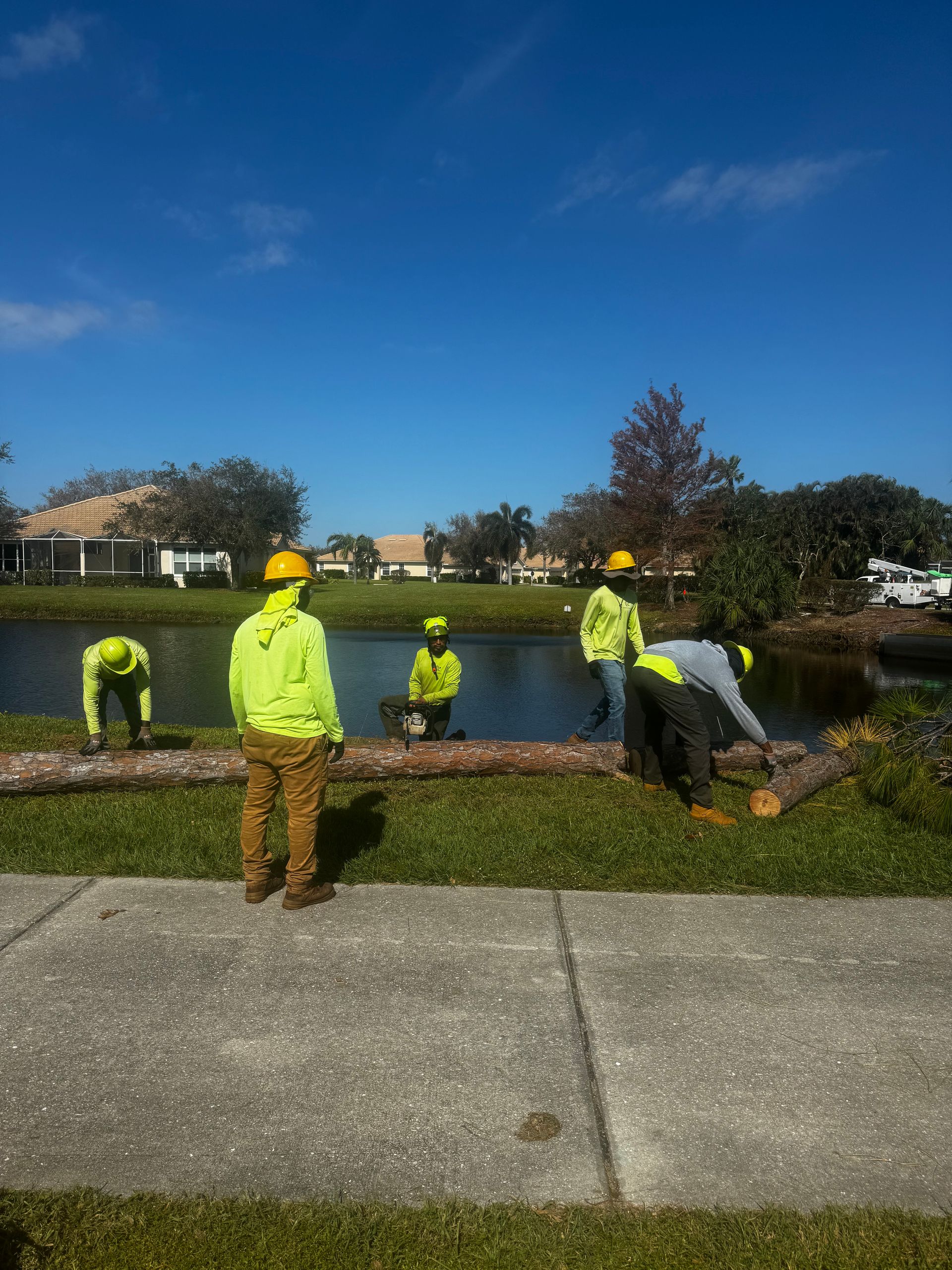 Workers in neon safety gear repairing a pond edge on a sunny day