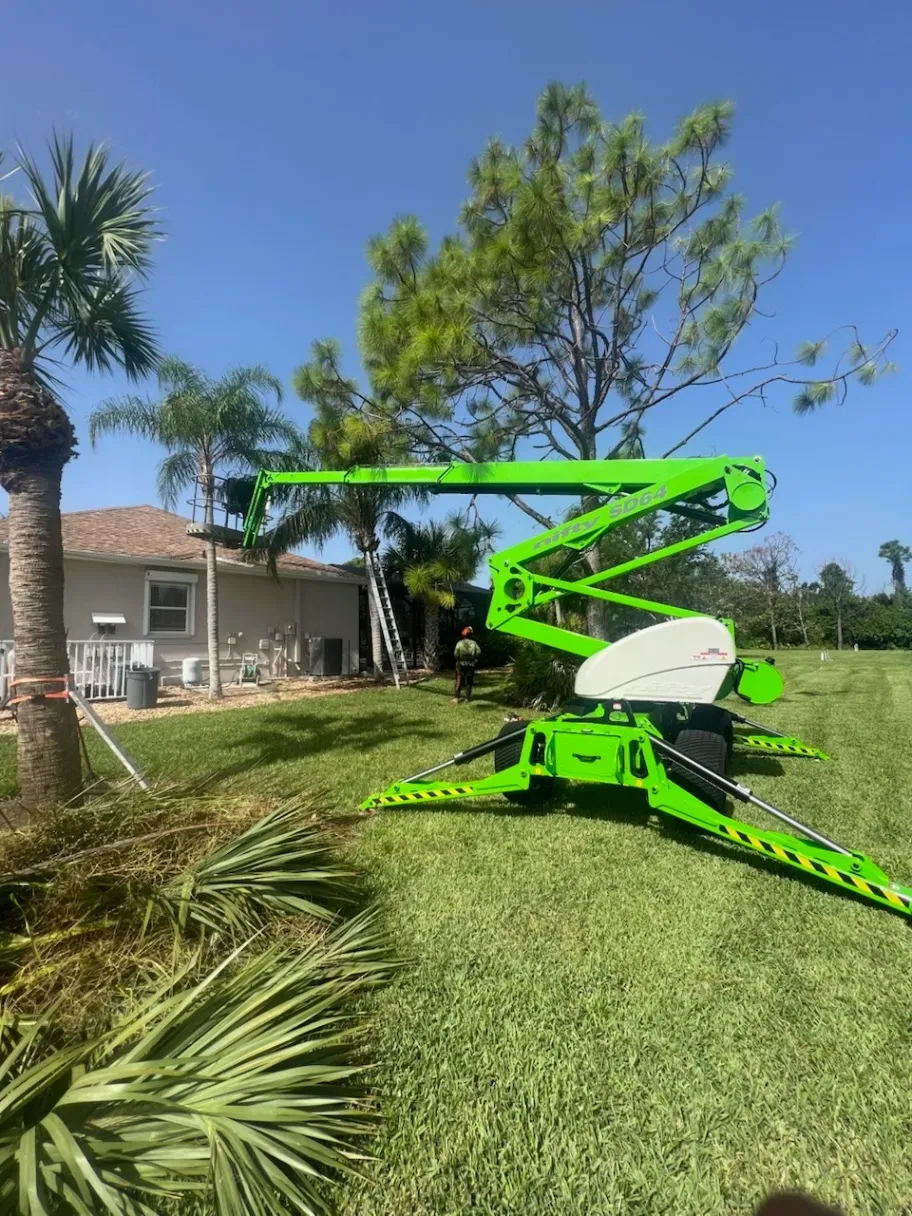 Bright green crane lift on a grassy lawn beside a house, raising a worker near a tree branch.