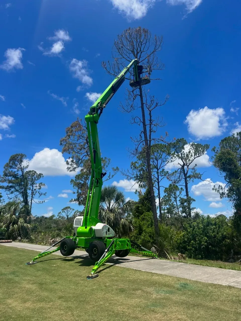Green tree-lift crane on a grassy roadside beside a tall tree under a bright blue sky.