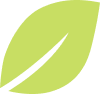Green leaf icon on a white background