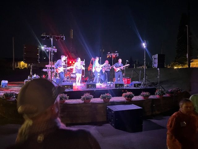 Band performing live on stage at night with stage lights. Audience in the foreground.