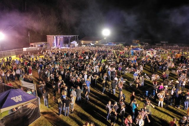 Large outdoor concert at night; crowd in front of stage, lit by bright lights.