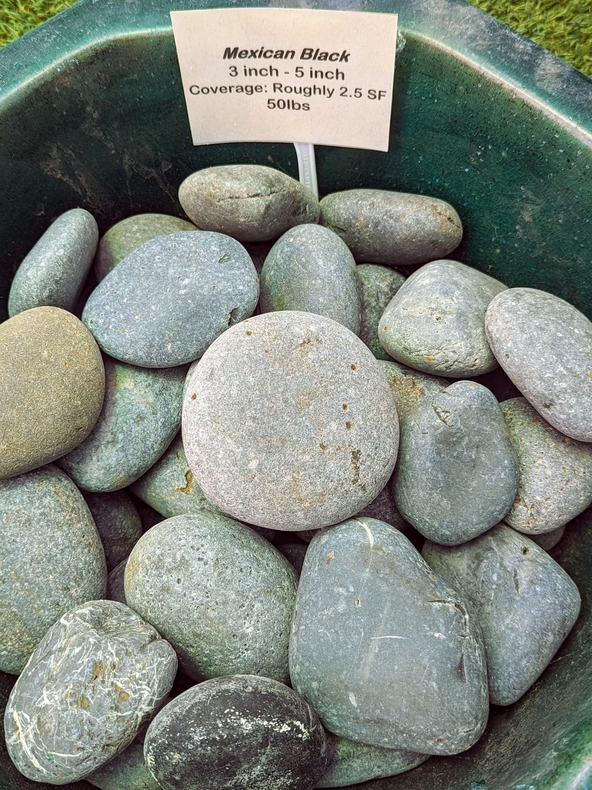 Mexican Black — Waimanalo, HI — Big Rock Garden