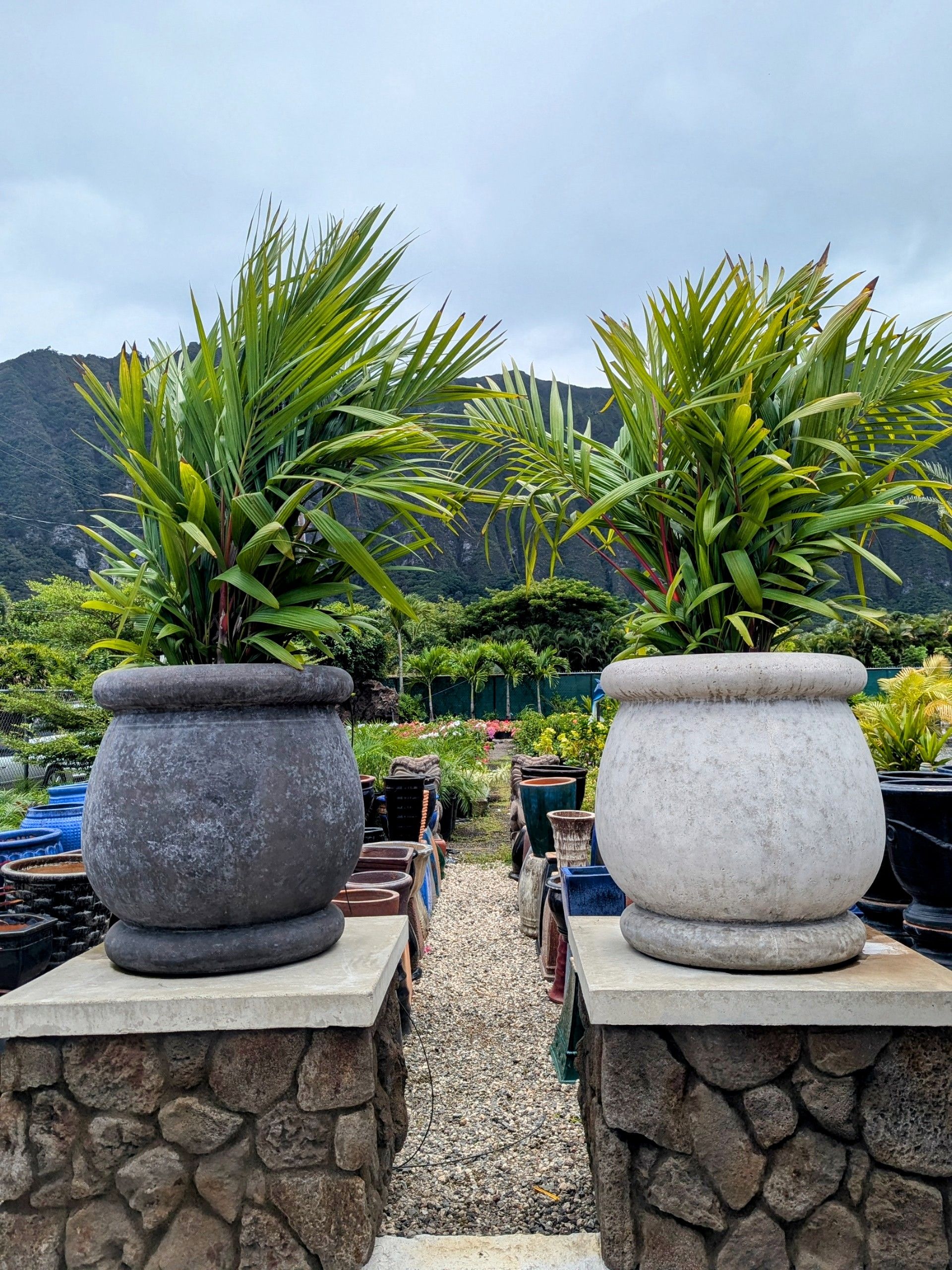 A couple of potted plants sitting on top of a stone wall.