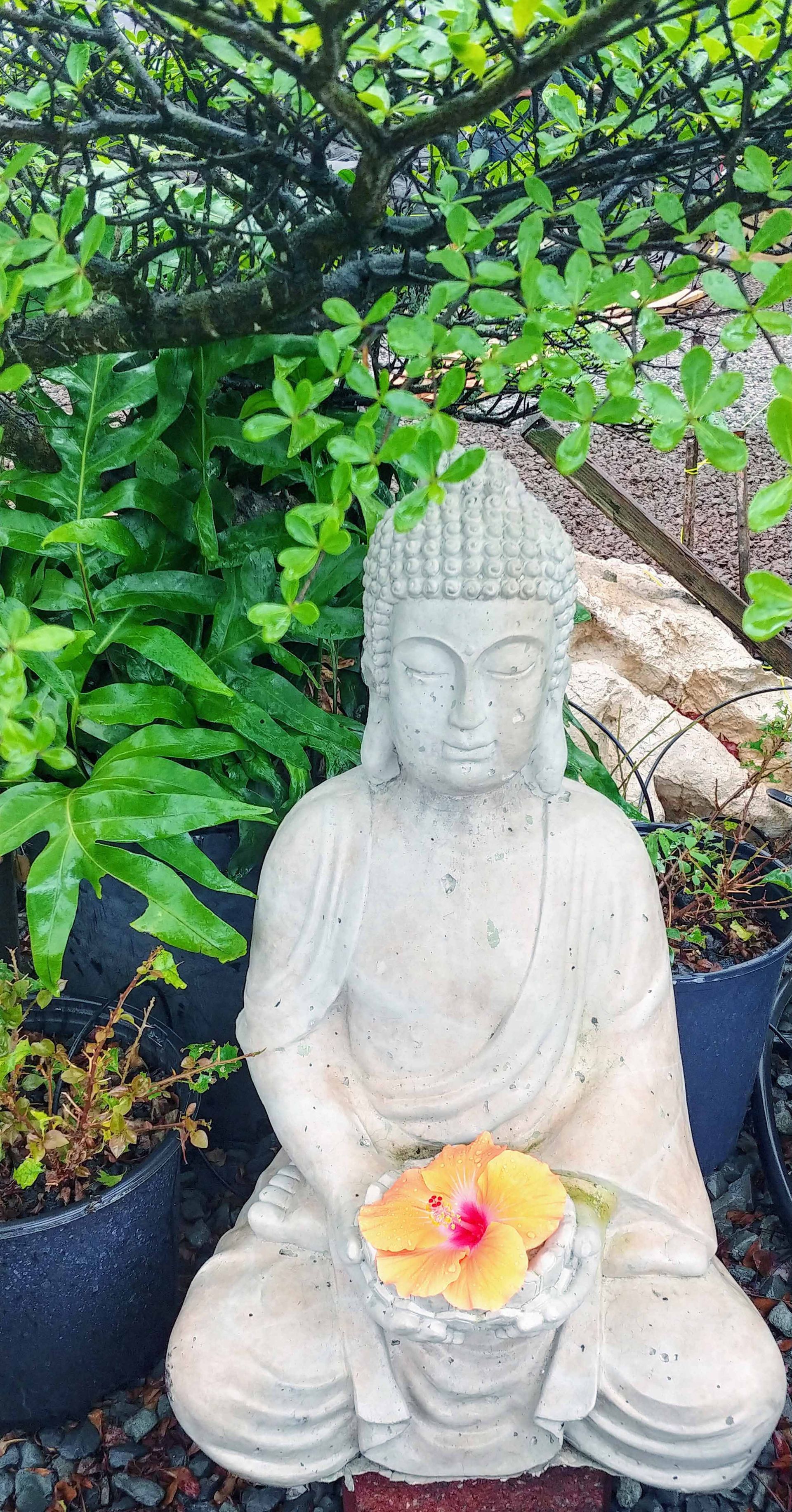 Buddhas 5 — Waimanalo, HI — Big Rock Garden