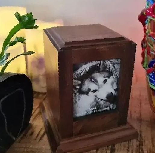 A Wooden Urn With A Picture Of A Dog On It — Angels for Pets In Rockhampton, QLD