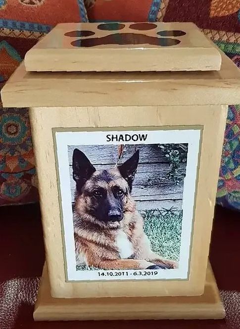 A Wooden Urn With A Picture Of A German Shepherd On It — Angels for Pets In Rockhampton, QLD
