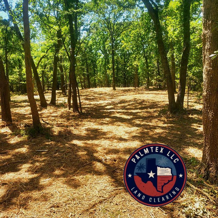A cleared path through a wooded area with a PALMTEX LLC land clearing company logo in the bottom right corner.